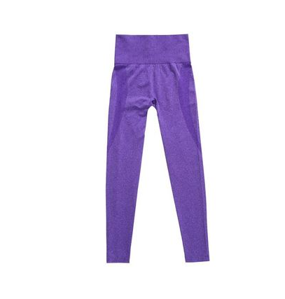 High Waist Seamless Yoga Pants for Women