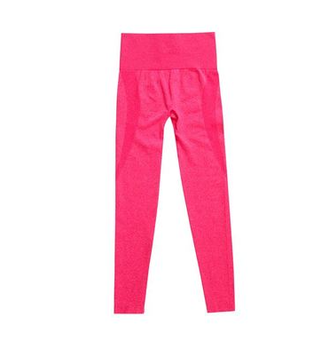 High Waist Seamless Yoga Pants for Women