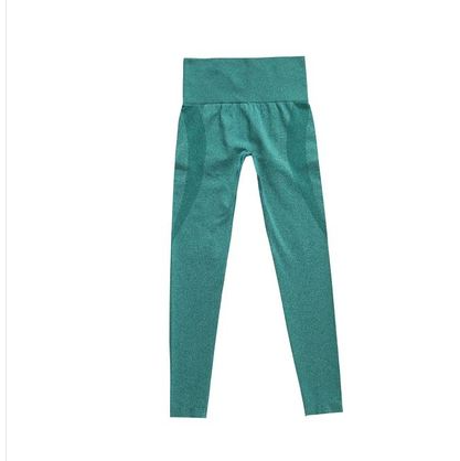 High Waist Seamless Yoga Pants for Women
